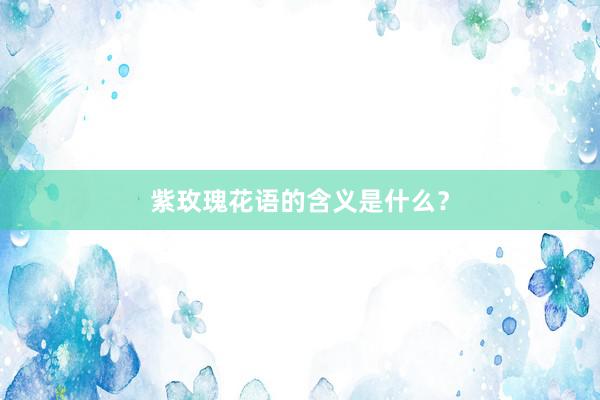 紫玫瑰花语的含义是什么？