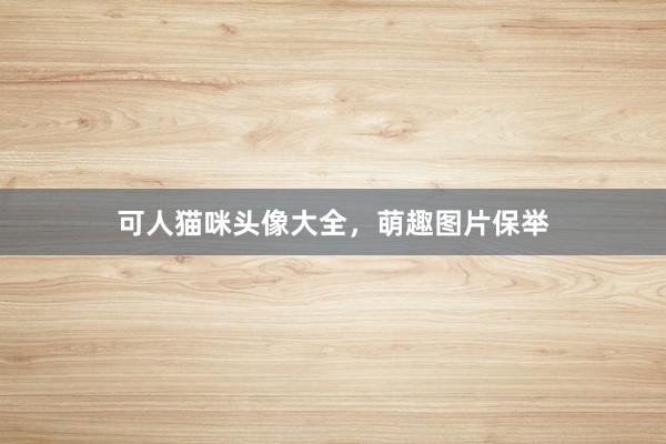 可人猫咪头像大全，萌趣图片保举