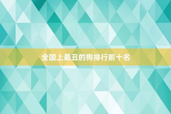 全国上最丑的狗排行前十名